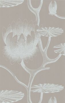 Lily by Cole & Son