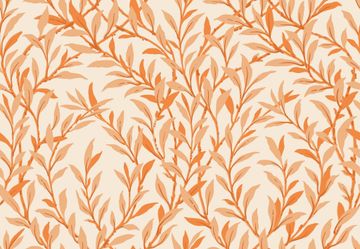 Willow Branch by Cole & Son