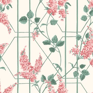 Wisteria by Cole & Son