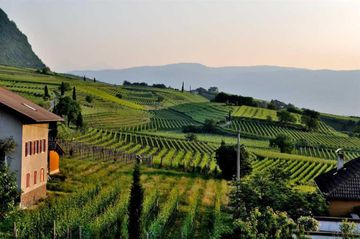 Sorsi di bellezza, alla scoperta delle cantine di design | Approfondimenti | Corradi Italiano by Corradi