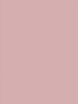 Blush Rose NF03 by Cover Styl