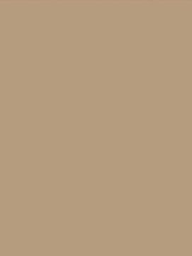 Caffe Latte NE55 by Cover Styl
