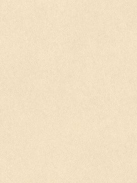 Cream NE43 by Cover Styl