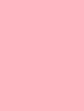 Pink Flamingo NF07 by Cover Styl