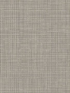 Silver And Grey Lined NE38 by Cover Styl