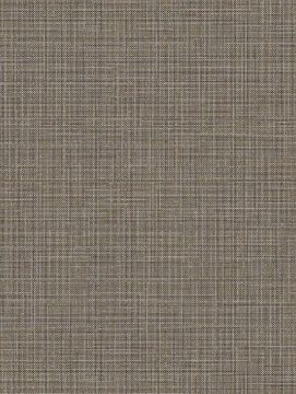 Silver & Brown Lined NE37 by Cover Styl
