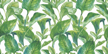1 - Washable Tropical wallpaper _ creativespace by Creative Space - view 3