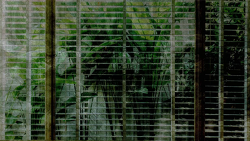 BEYOND - Trompe l'oeil Tropical wallpaper _ creativespace by Creative Space - view 3