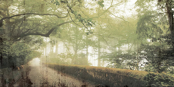 FORREST - Washable landscape wallpaper _ creativespace by Creative Space - view 3
