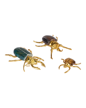 Brass Beetle Colony Set of 3 by Currey and Company
