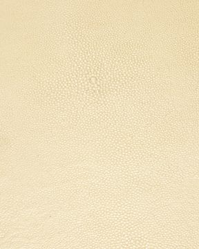Evie Shagreen Writing Desk by Currey and Company - view 8