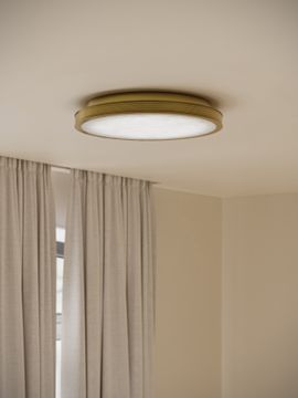 Aydan Small Polished Brass Flush Mount by Currey and Company - view 5