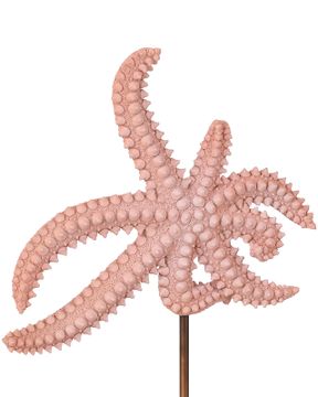 Starfish Set of 2 by Currey and Company - view 2