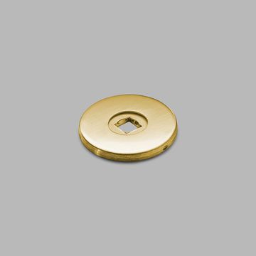Rose f/ knob handle - PVD brass by d line