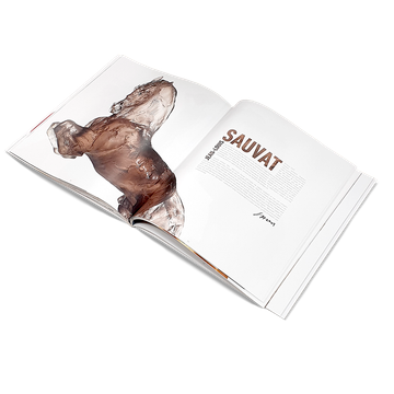 Livre Daum - Collabs in Crystal Art Couverture "Cabeza - Carlos Mata" by Daum - view 2