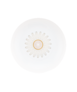 Or d'Abeille Coffret de 2 assiettes creuse calotte by Daum