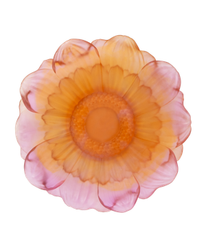 Or d'Abeille Fleur de présentation moyen modèle ambre-rose by Daum - view 2
