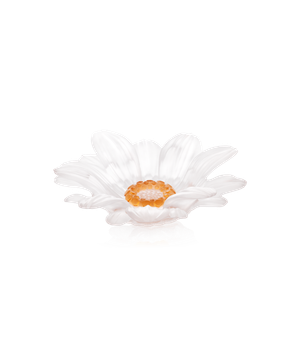 Or d'Abeille Fleur de présentation petit modèle blanche by Daum