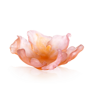 Tulipe Coupe ambre rose 99ex by Daum