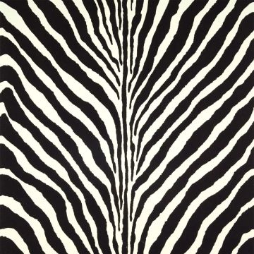 Bartlett Zebra - Charcoal by Designers Guild