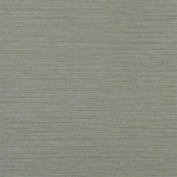 Brera Grasscloth Charcoal by Designers Guild