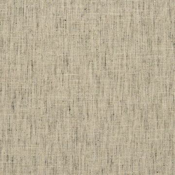 Avedon - Birch by Designers Guild