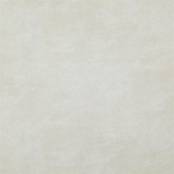 Hindon - Chalk by Designers Guild