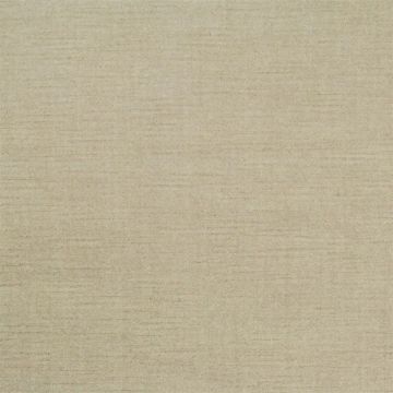 Tristan Linen Velvet - Grey by Designers Guild