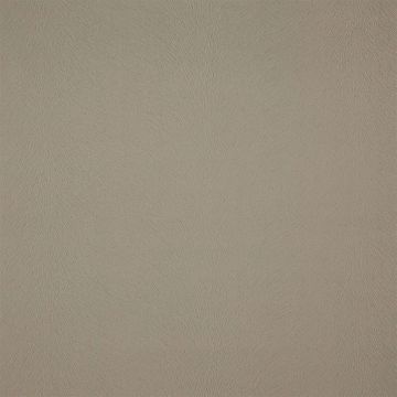 Whiddon - Pebble by Designers Guild
