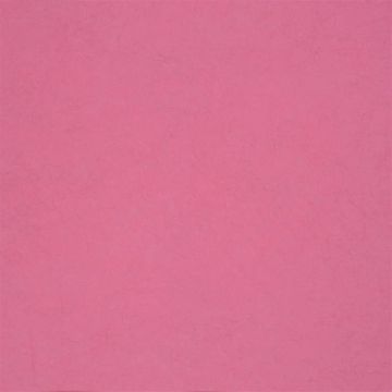 Ernani - Fuchsia by Designers Guild