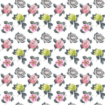 Pavonia - Peony by Designers Guild