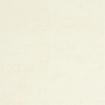 Seta - Champagne by Designers Guild