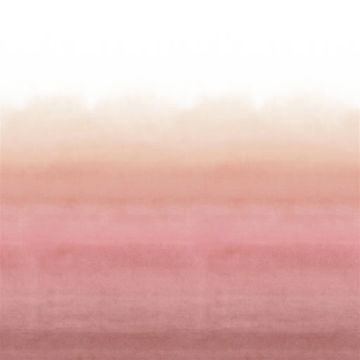 Shoshi Coral by Designers Guild
