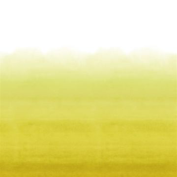 Shoshi Lemongrass by Designers Guild