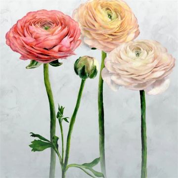 Tourangelle Scene 2 Peony by Designers Guild