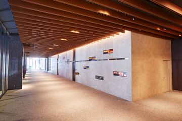3M DI-NOC Architectural Finishes Corporate Ceiling Application by Designtex