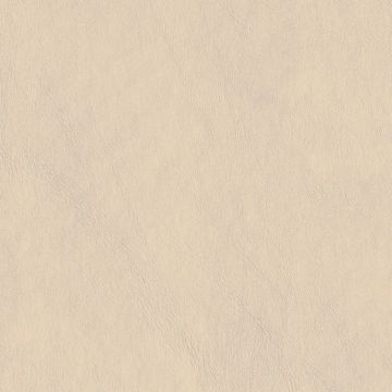 Steady by Designtex