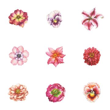Wallflowers by Designtex