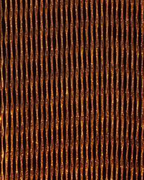 Spider Bronze Led Amber by Dreamlux