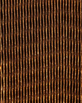 Spider Bronze Led Gold by Dreamlux