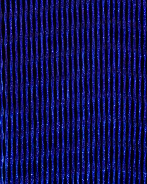 Spider Bronze Led Royal Blue by Dreamlux