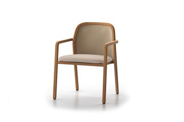 Nara Dining Armchair by DRIGANI