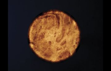Full Moon by Edra - view 4