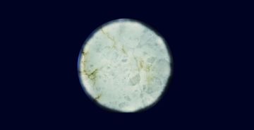 Full Moon by Edra
