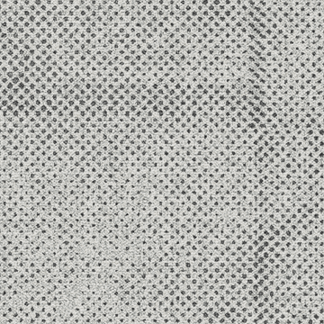 Transition - Seed by Ege Carpets