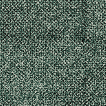 Transition - Seed by Ege Carpets