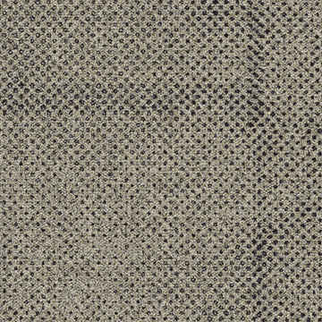 Transition - Seed by Ege Carpets