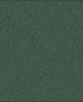 EMBRACE 324044 - Green wallpaper by Eijffinger