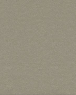 REFLECT 378051 - Brown wallpaper by Eijffinger