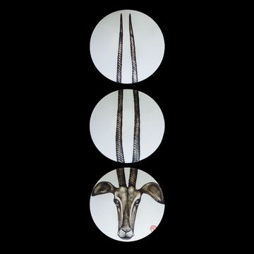 Antilope - MA by Elica Studio